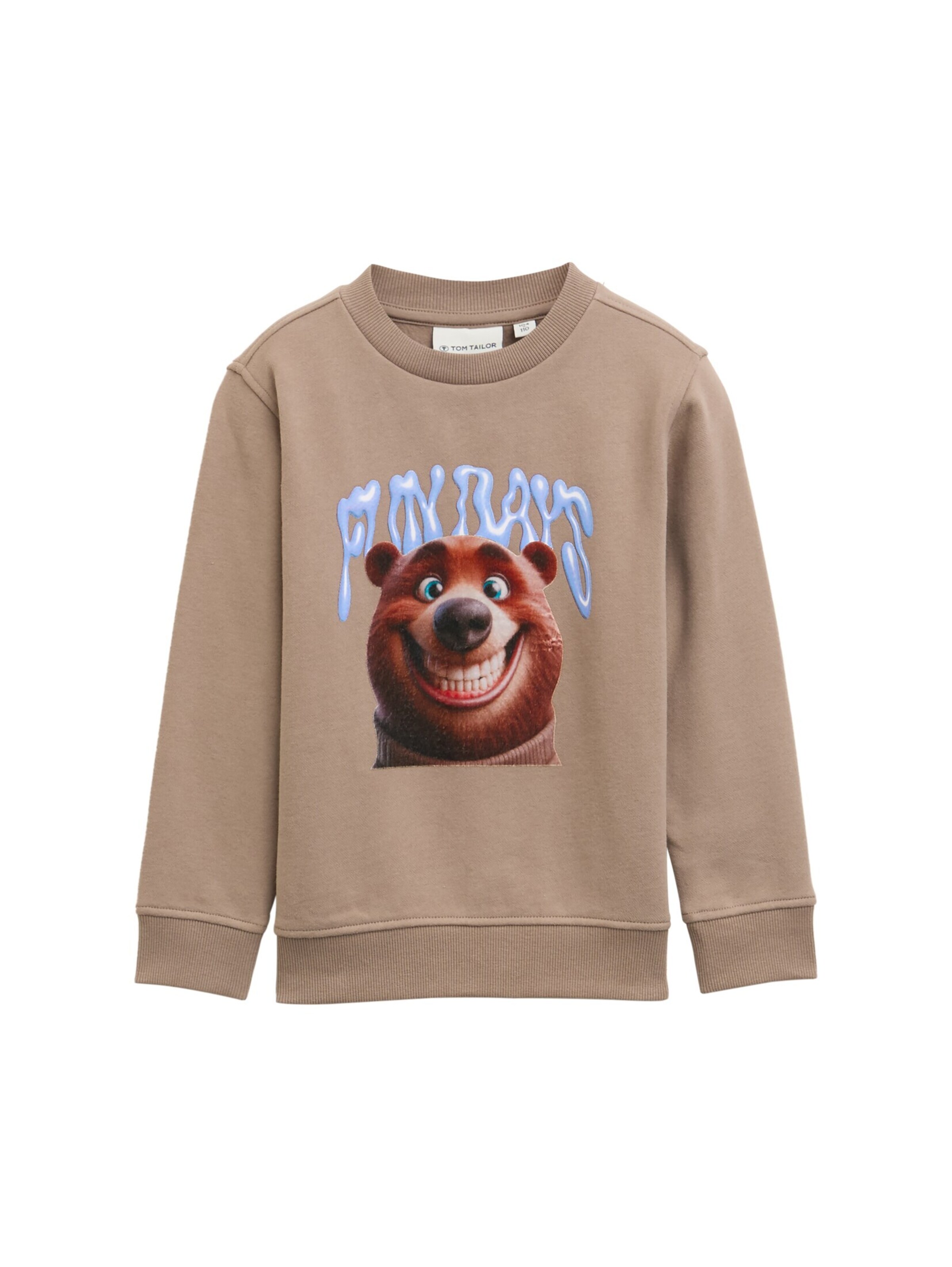 Sweat TOM TAILOR en marron : devant