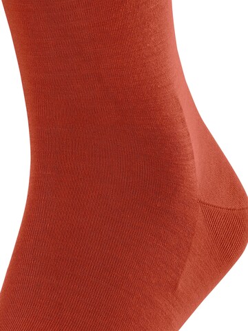 FALKE Socken 'ClimaWool'‌‌‌‌‌‌‌‌‌ in Grau