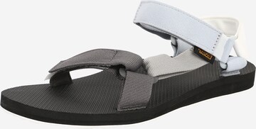 TEVA Trekkingsandal 'Original Universal' i grå: framsida