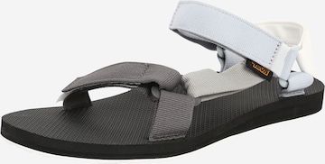Sandales de randonnée 'Original Universal' TEVA en gris : devant