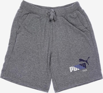 PUMA Shorts in 33 in Grey: front