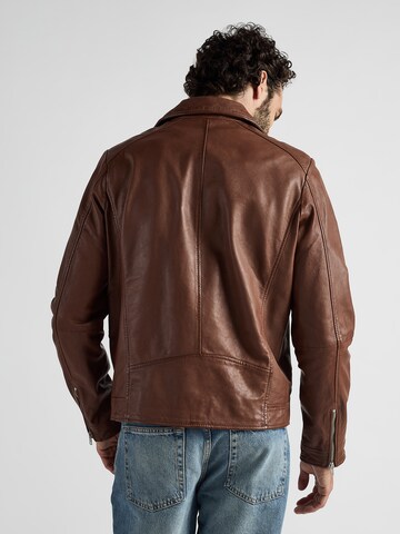 JCC Tussenjas in Bruin