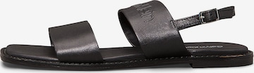 Calvin Klein Sandal in Black: front