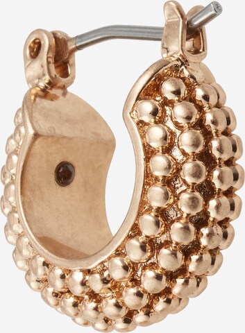 AllSaints Earrings in Gold