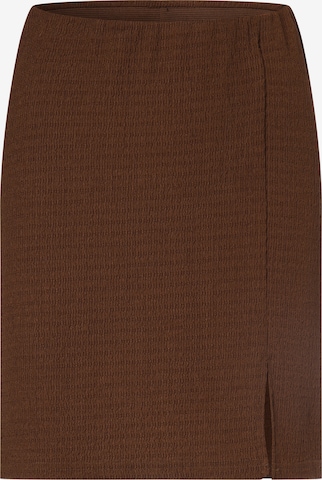 Aygill's Skirt in Brown: front