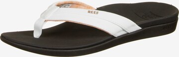 REEF Beach & Pool Shoes 'Ortho-Bounce Coast' in White: front