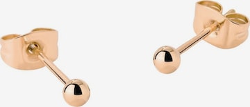 Luamaya Earrings 'Delicate Bead Studs' in Gold: front