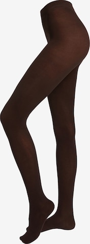CALZEDONIA Tights in Brown: front