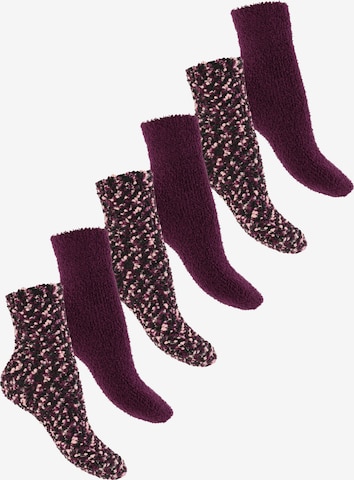 footstar Socken 'EVERYDAY! Cozy' in Lila: Vorderseite