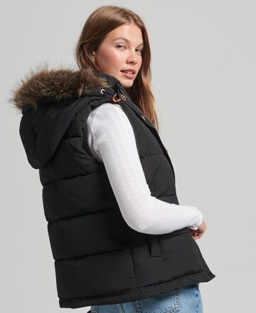 Superdry Bodywarmer in Zwart