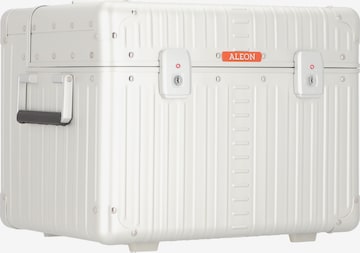 Aleon Suitcase in Silver