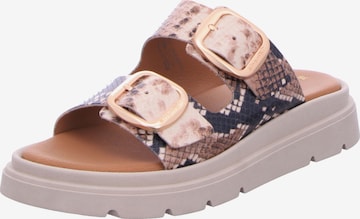 Tamaris Pantolette in Beige: Vorderseite