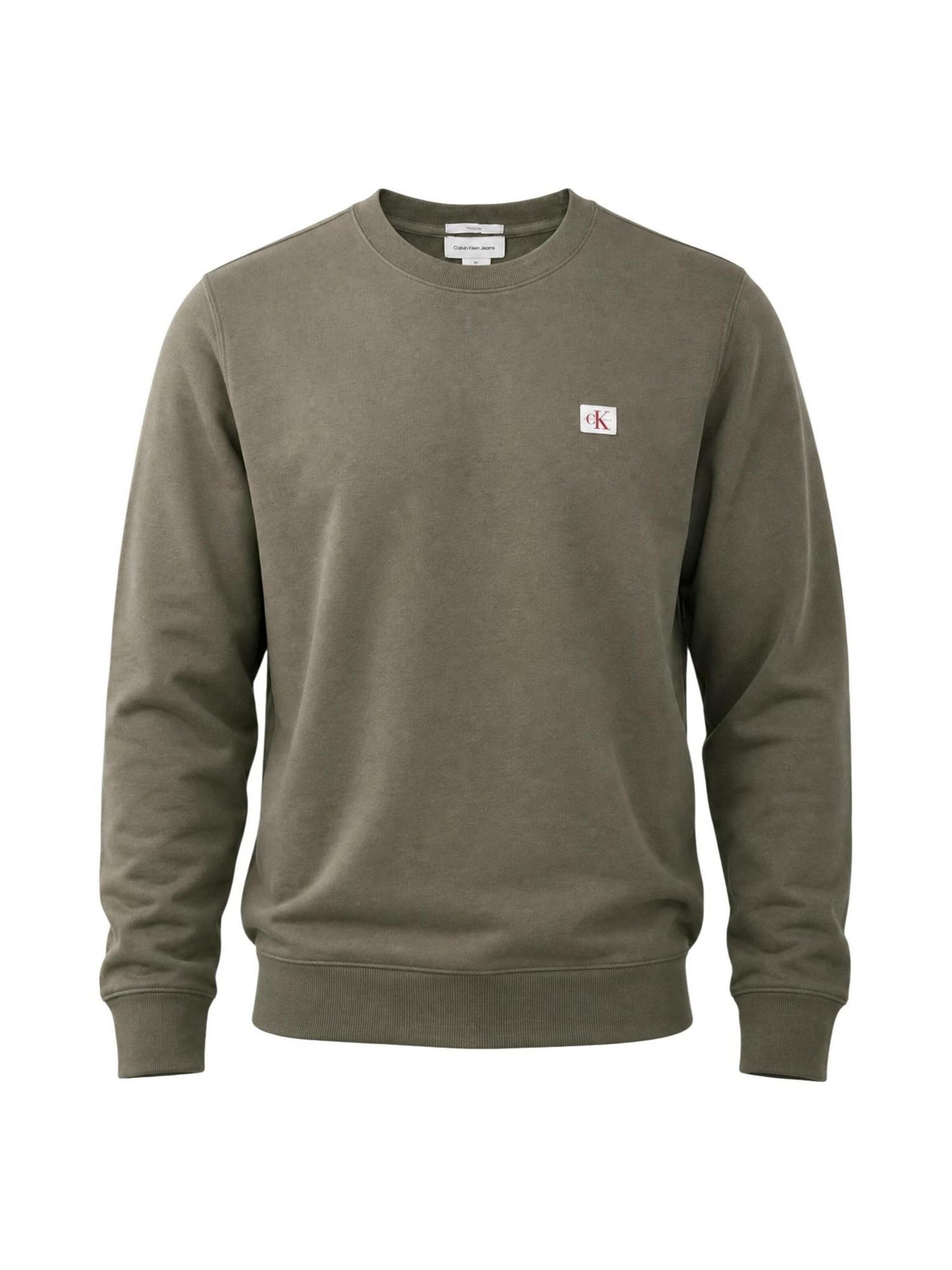 Calvin Klein Jeans Sweatshirt 'LV04RG268G' i grön: framsida
