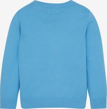 TOM TAILOR Pullover in Blau