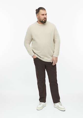 s.Oliver Men Big Sizes Sweatshirt in Beige