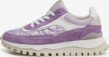 Baskets basses 'Grommi 01' Floris van Bommel en violet : devant