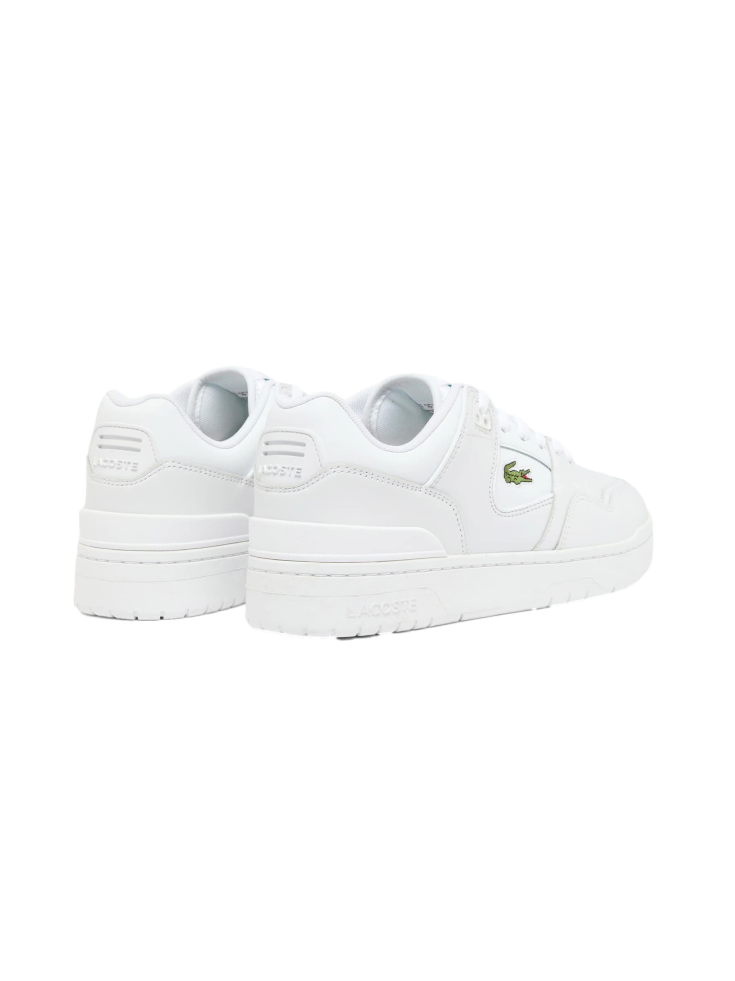 Baskets basses 'Courtcage Set' LACOSTE en blanc