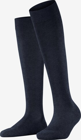 FALKE Kniestrümpfe 'ClimaWool' in Blau: Vorderseite