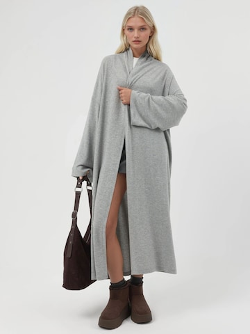 Cardigan 'Strickjacken' Busem en gris : devant