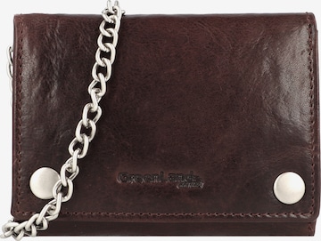 Greenland Nature Wallet in Brown: front