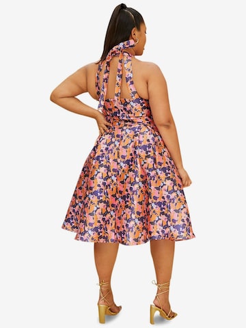 Chi Chi Curve Dress in Mixed colors