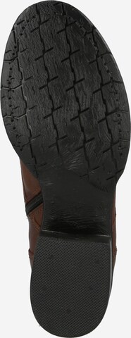 MJUS Stiefelette 'Norton' in Braun