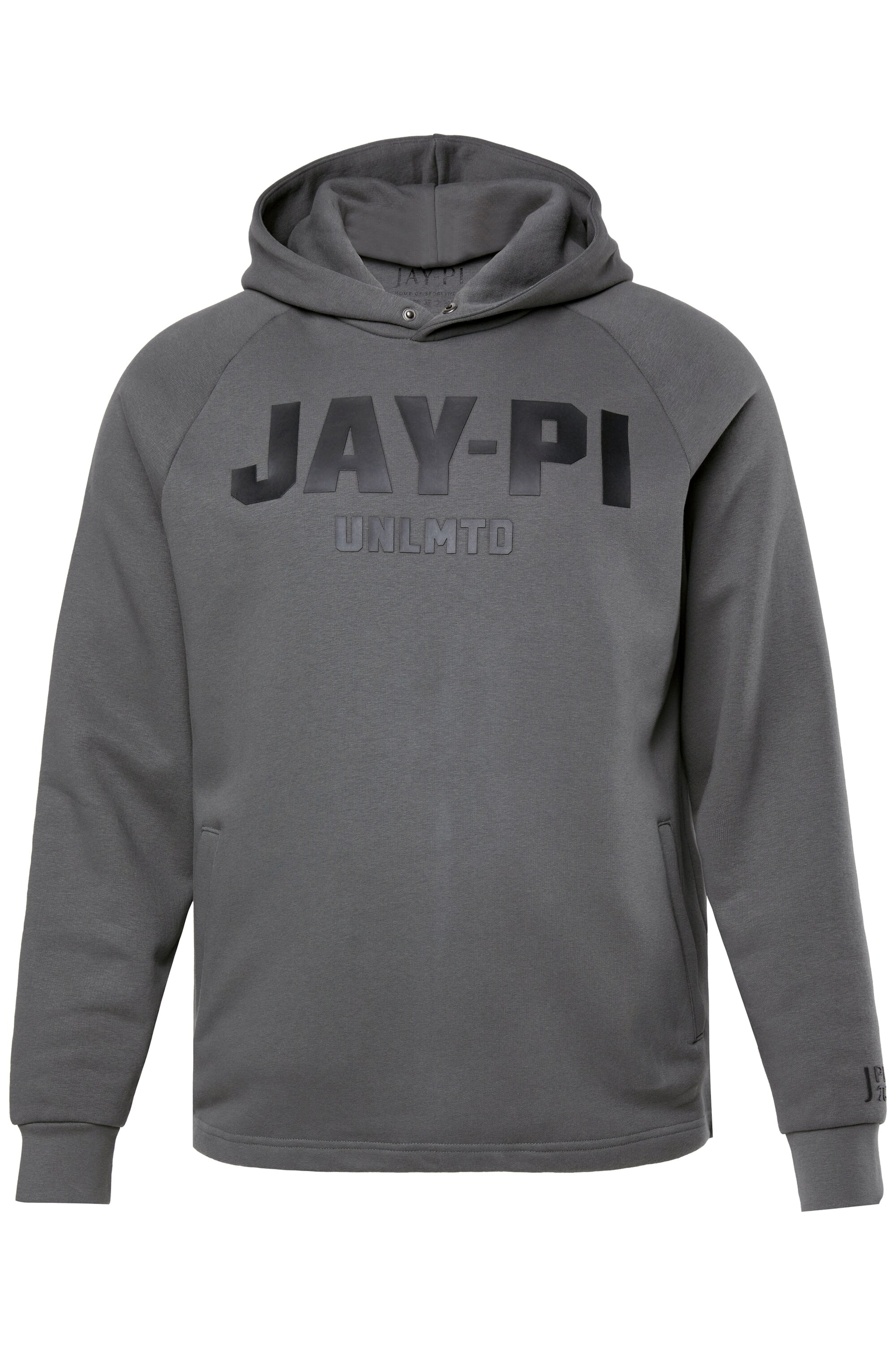 JAY-PI Sweatshirt in Grijs: voorkant