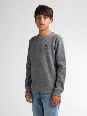 Petrol Industries Sweatshirt in Grijs: voorkant