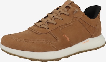 JOSEF SEIBEL Sneaker 'Clint 03' in Braun: Vorderseite