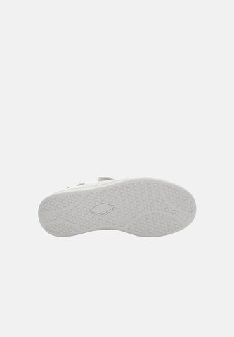 Baskets Lumberjack en blanc