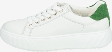 ARA Sneakers in White