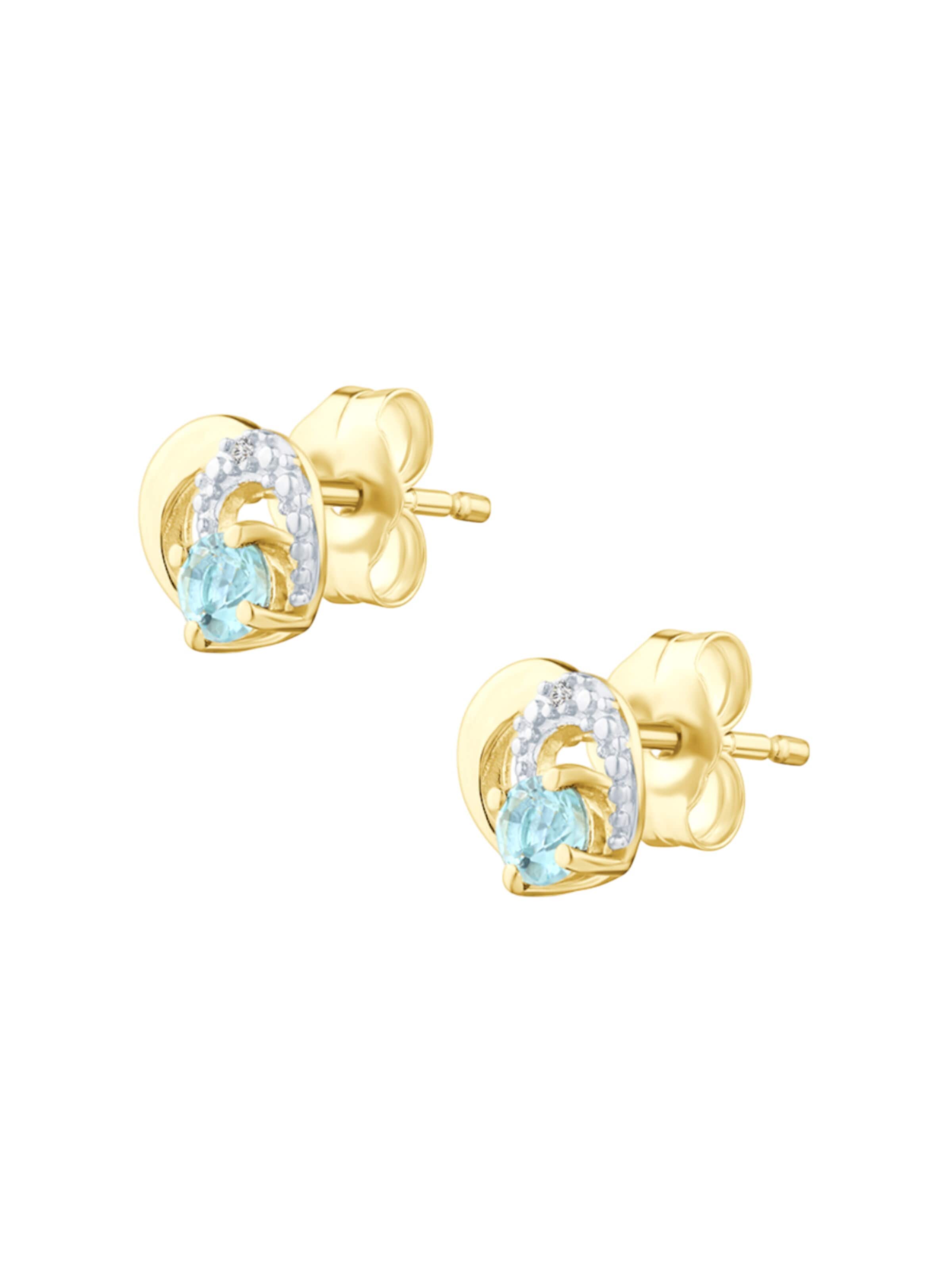 DIAMANT LETERNEL Earrings in Gold