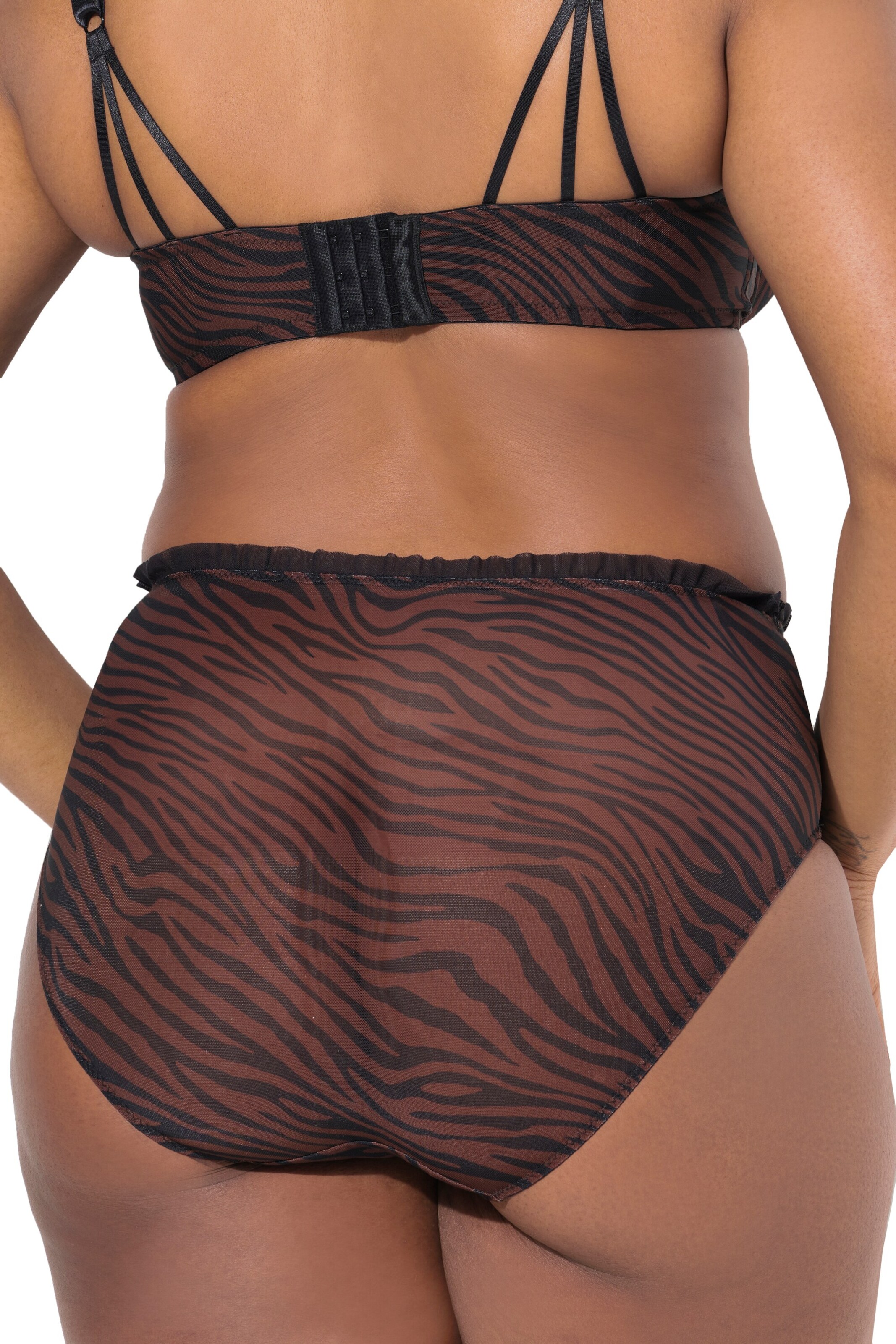 TruYou Panty in Brown