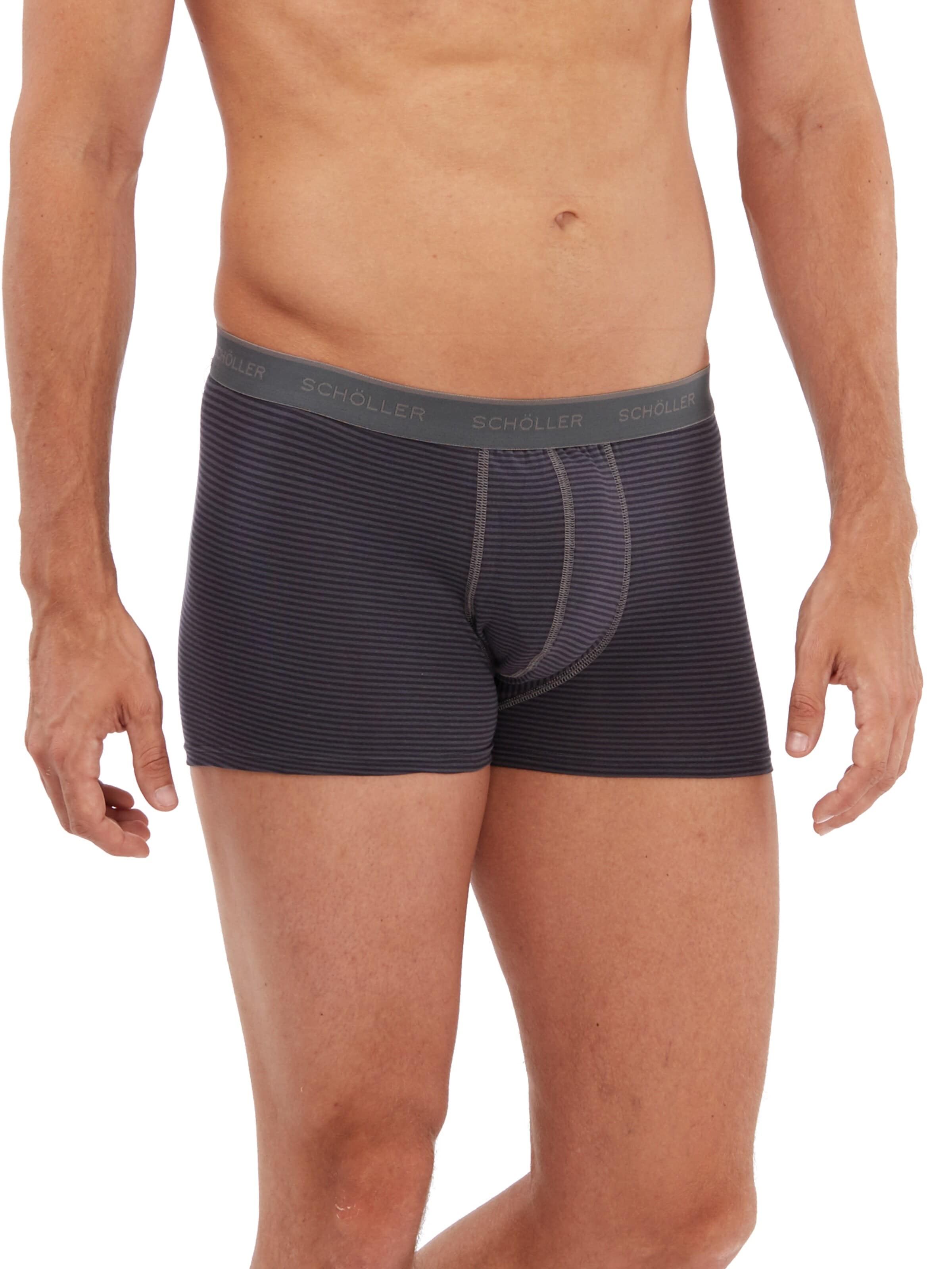 Schöller Boxer shorts in Grey