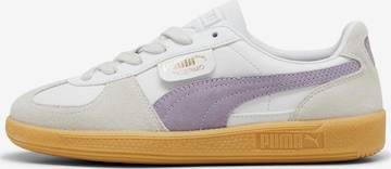 PUMA Низкие кроссовки 'Palermo' в Белый: спереди