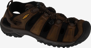 Sandales 'Keen Targhee III' KEEN en marron : devant