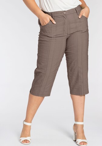 KjBRAND Regular Pants in Brown: front