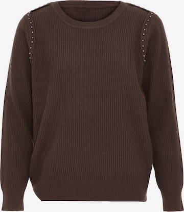 dulcey Sweater in Brown: front