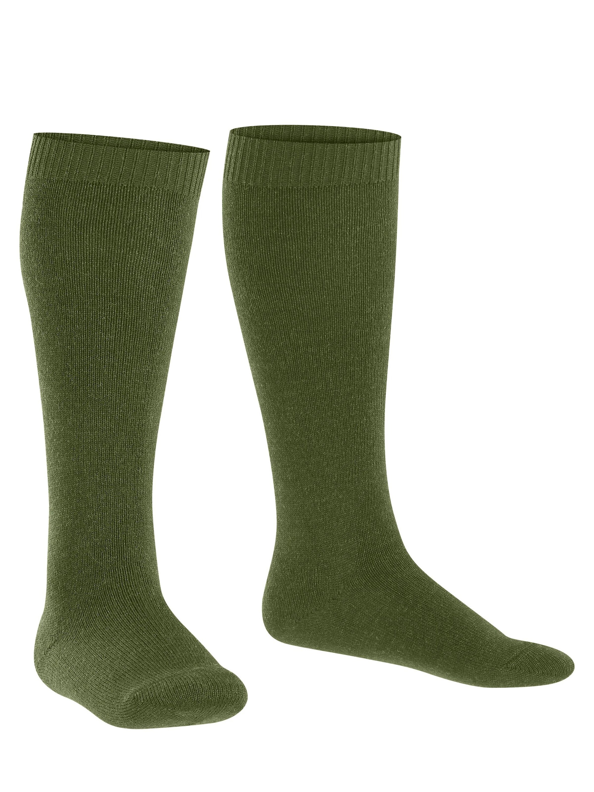 FALKE Socks 'Comfort Wool' in Green