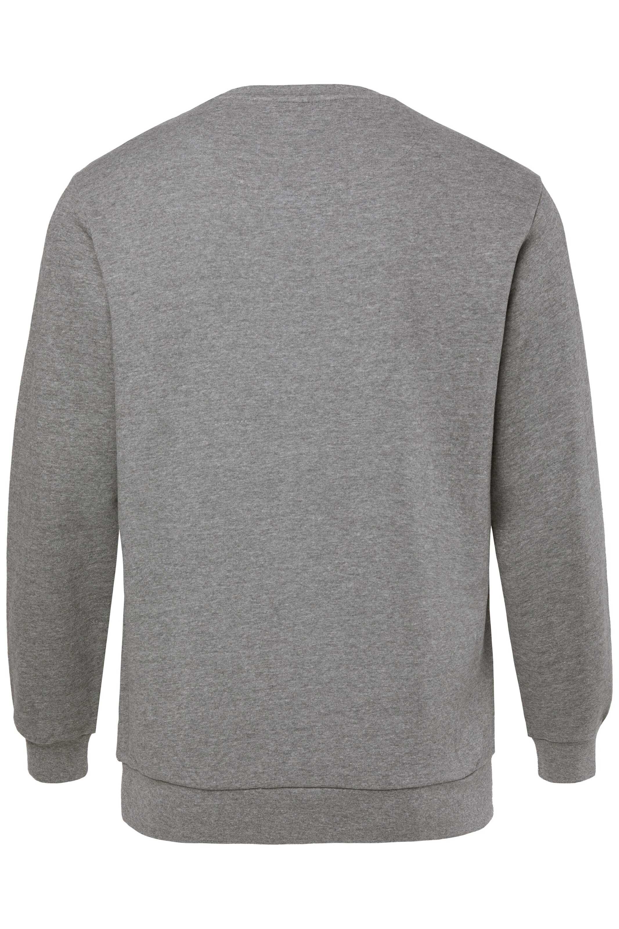 Men Plus Sweatshirt in Grijs