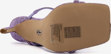 Sandales à lanières STEVE MADDEN en violet