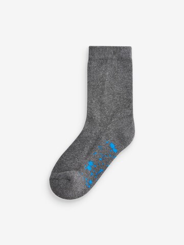 Next Socks in Grey
