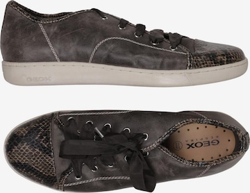 GEOX Sneakers & Trainers in 42 in Grey: front