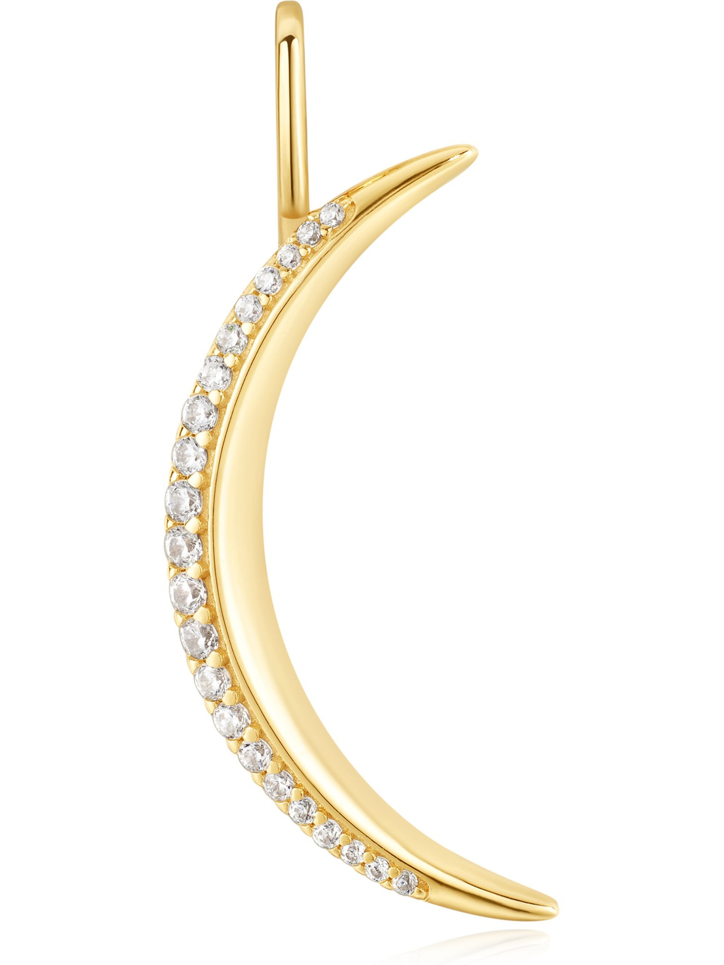 ANIA HAIE Anhänger in Gold: Vorderseite