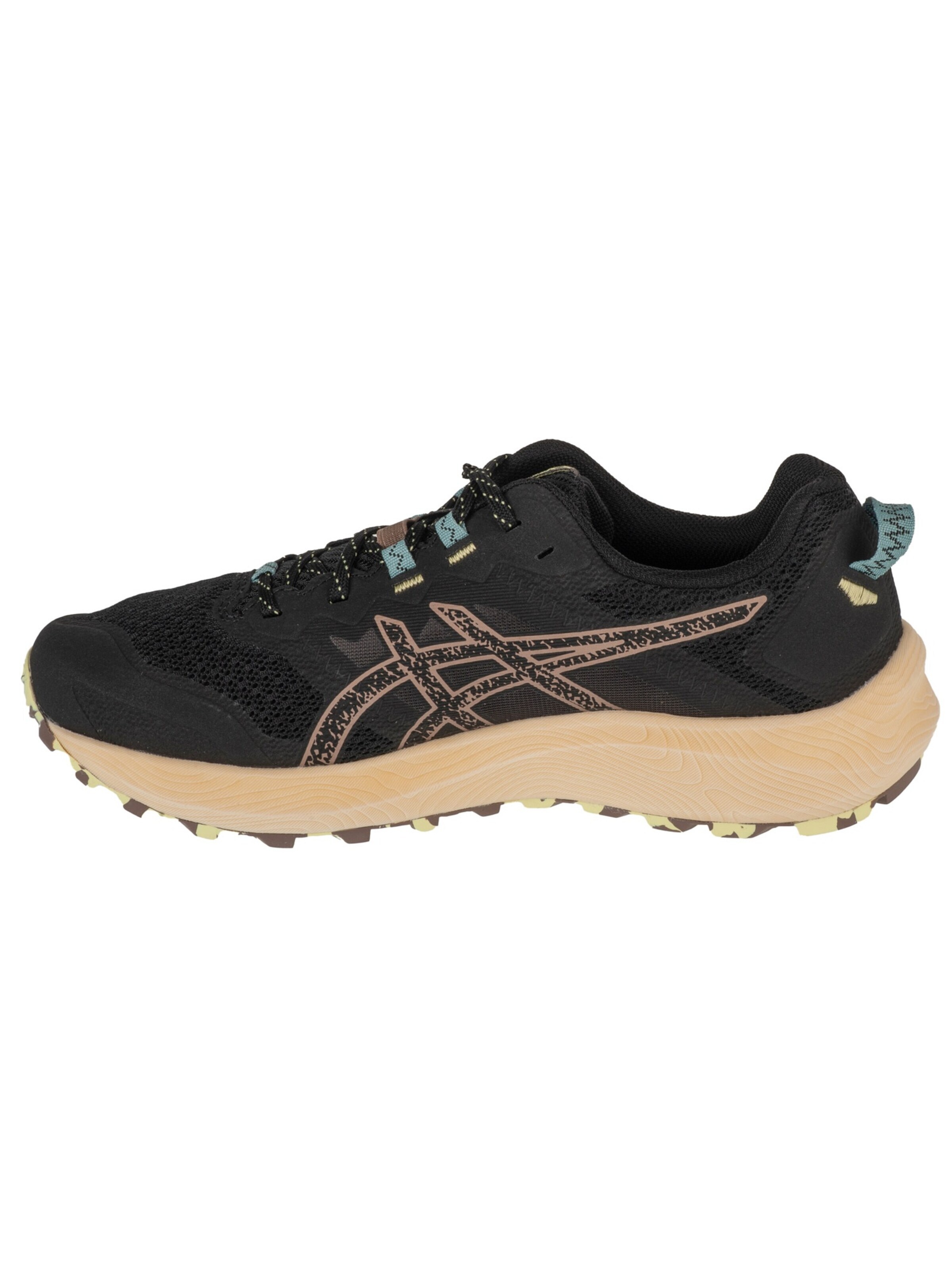 ASICS Loopschoen 'ASICS Gel-Trabuco Terra 2' in Zwart