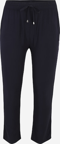 Z-One Regular Pants 'Ri44cky' in Blue: front