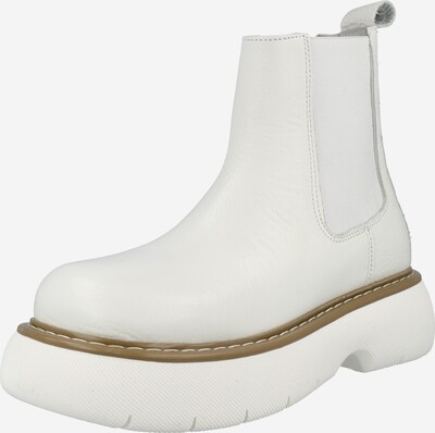STEVE MADDEN Chelsea boots 'WINNER' in de kleur Wit, Productweergave