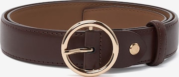 jolar Belt in Brown: front