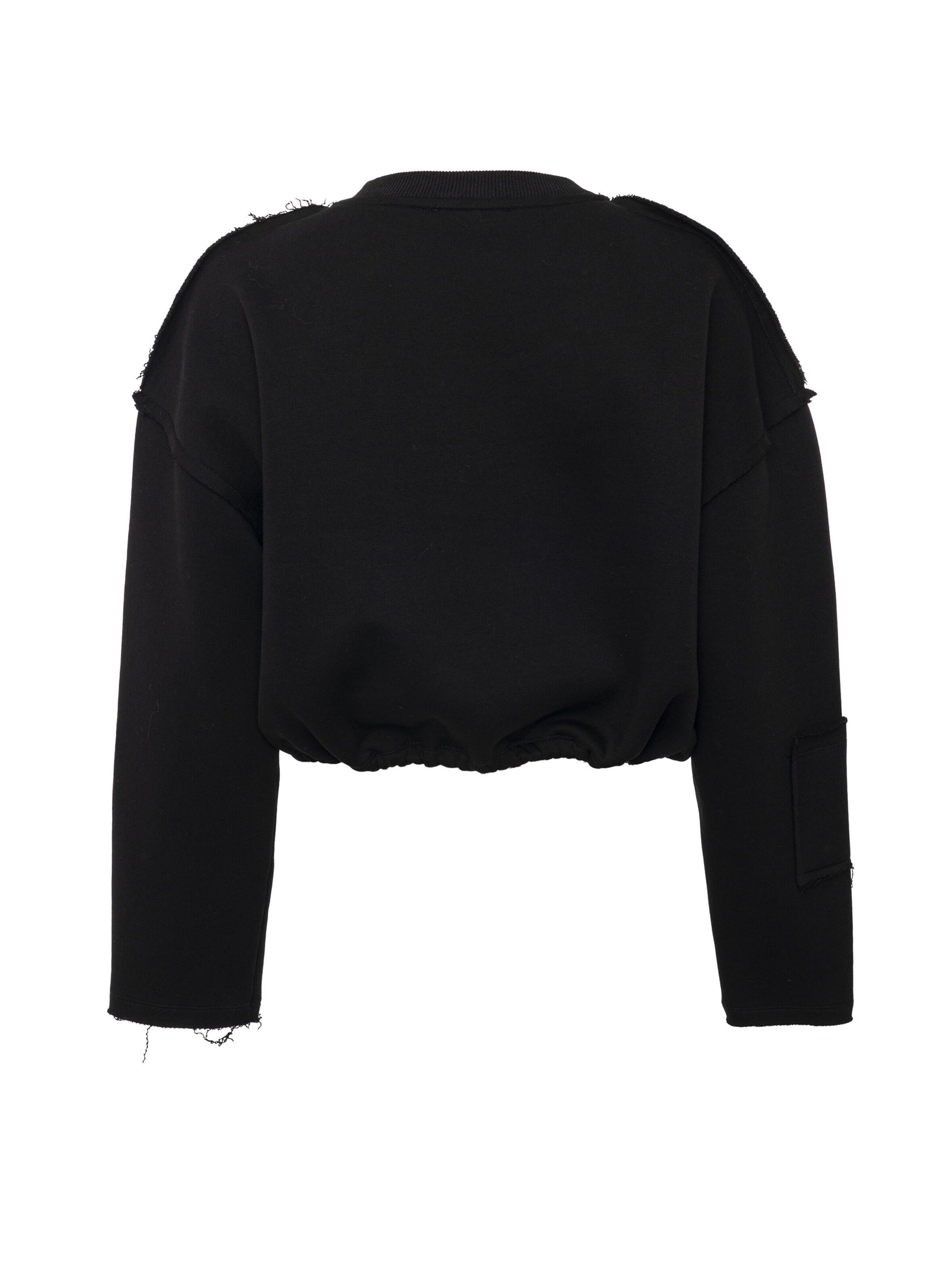 CIPO & BAXX Sweatshirt 'WL370' in Zwart