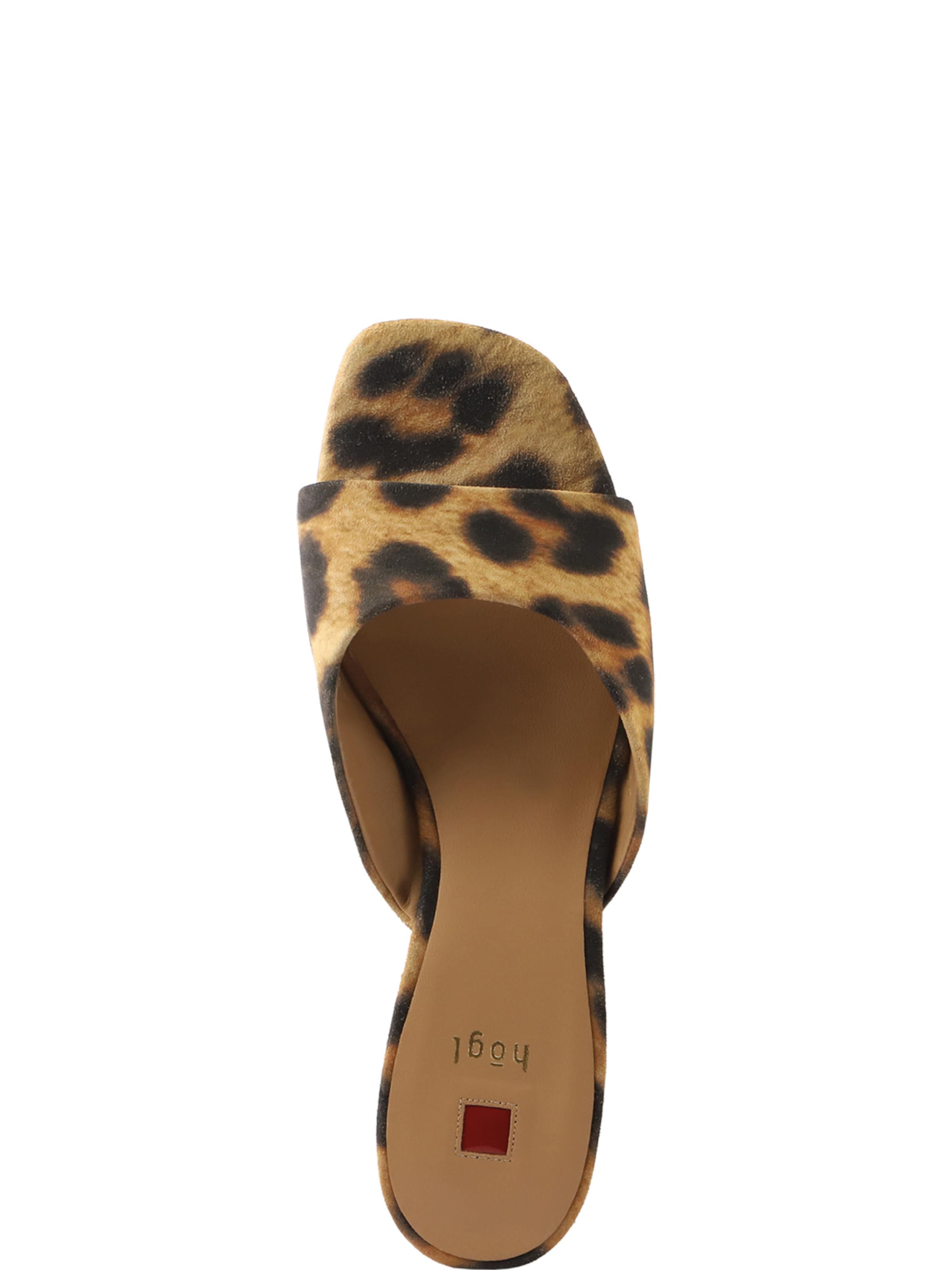 Mule 'Dorina' Högl en marron